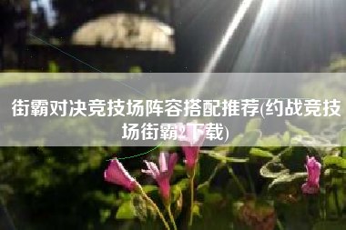 街霸对决竞技场阵容搭配推荐(约战竞技场街霸2下载)