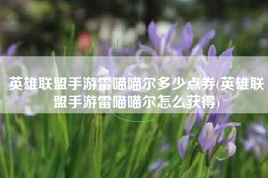 英雄联盟手游雷喵喵尔多少点券(英雄联盟手游雷喵喵尔怎么获得)