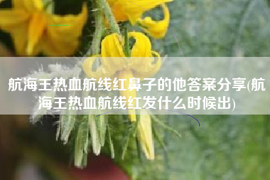 航海王热血航线红鼻子的他答案分享(航海王热血航线红发什么时候出)