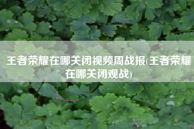 王者荣耀在哪关闭视频周战报(王者荣耀在哪关闭观战)