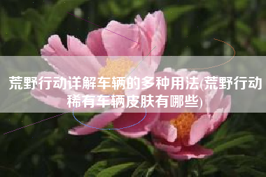 荒野行动详解车辆的多种用法(荒野行动稀有车辆皮肤有哪些)