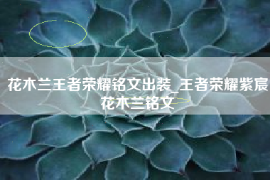 花木兰王者荣耀铭文出装_王者荣耀紫宸花木兰铭文