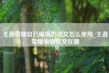 王者荣耀自己编辑的铭文怎么使用_王者荣耀编辑铭文在哪