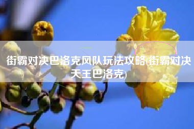 街霸对决巴洛克风队玩法攻略(街霸对决天王巴洛克)