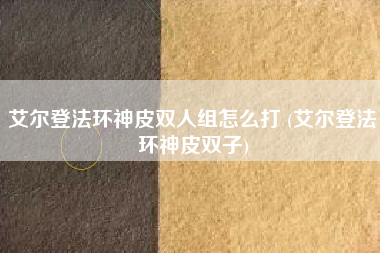 艾尔登法环神皮双人组怎么打 (艾尔登法环神皮双子)