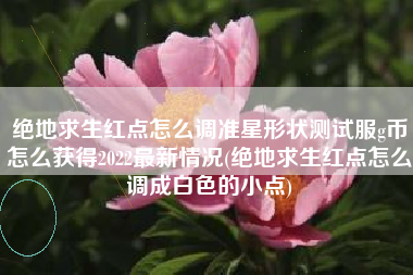 绝地求生红点怎么调准星形状测试服g币怎么获得2022最新情况(绝地求生红点怎么调成白色的小点)