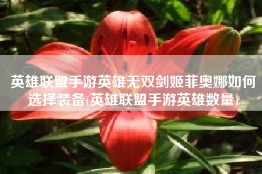 英雄联盟手游英雄无双剑姬菲奥娜如何选择装备(英雄联盟手游英雄数量)