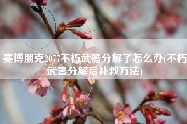 赛博朋克2077不朽武器分解了怎么办(不朽武器分解后补救方法)