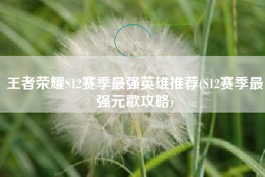王者荣耀S12赛季最强英雄推荐(S12赛季最强元歌攻略)