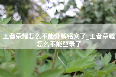 王者荣耀怎么不能分解铭文了_王者荣耀怎么不能登录了