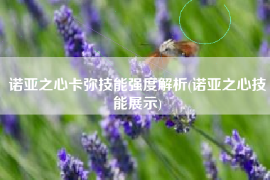 诺亚之心卡弥技能强度解析(诺亚之心技能展示)