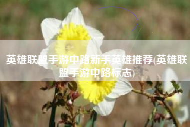 英雄联盟手游中路新手英雄推荐(英雄联盟手游中路标志)