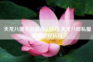 天龙八部手游逍遥pk技巧,天龙八部私服逍遥派好玩吗