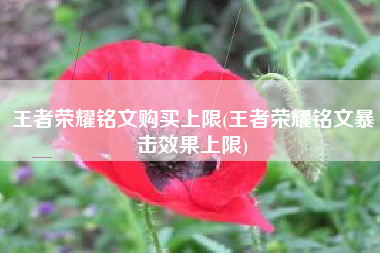 王者荣耀铭文购买上限(王者荣耀铭文暴击效果上限)