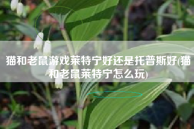 猫和老鼠游戏莱特宁好还是托普斯好(猫和老鼠莱特宁怎么玩)