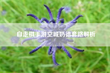 自走棋手游空城奶德套路解析