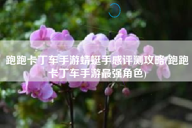 跑跑卡丁车手游蜻蜓手感评测攻略(跑跑卡丁车手游最强角色)