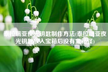 泰拉瑞亚夜光钥匙制作方法(泰拉瑞亚夜光钥匙放入宝箱后没有宝箱怪)