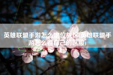 英雄联盟手游怎么定位战区(英雄联盟手游怎么看自己的区服)