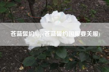 苍蓝誓约App(苍蓝誓约国服要关服)
