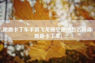 跑跑卡丁车手游飞龙腾空密函怎么获得(跑跑卡丁车)