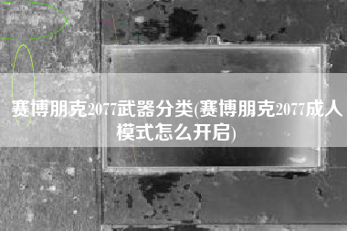 赛博朋克2077武器分类(赛博朋克2077成人模式怎么开启)