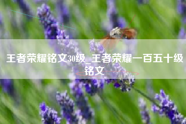 王者荣耀铭文30级_王者荣耀一百五十级铭文