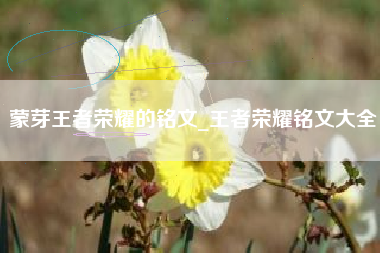 蒙芽王者荣耀的铭文_王者荣耀铭文大全