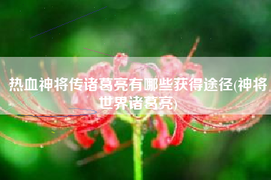 热血神将传诸葛亮有哪些获得途径(神将世界诸葛亮)