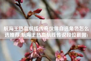 航海王热血航线传奇伙伴自选角色怎么选推荐(航海王热血航线传说段位截图)