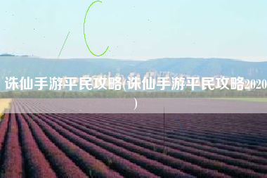 诛仙手游平民攻略(诛仙手游平民攻略2020)