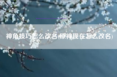 神角技巧怎么改名(原神现在怎么改名)