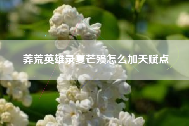 莽荒英雄录夏芒殒怎么加天赋点