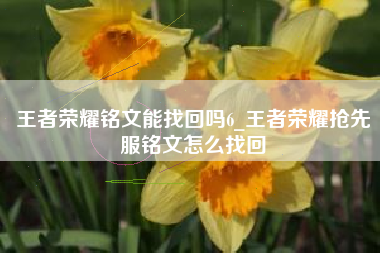 王者荣耀铭文能找回吗6_王者荣耀抢先服铭文怎么找回