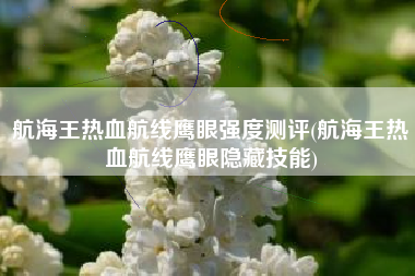 航海王热血航线鹰眼强度测评(航海王热血航线鹰眼隐藏技能)