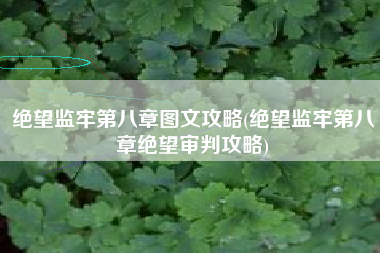 绝望监牢第八章图文攻略(绝望监牢第八章绝望审判攻略)