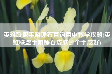 英雄联盟手游锤石百钩百中教学攻略(英雄联盟手游锤石皮肤哪个手感好)