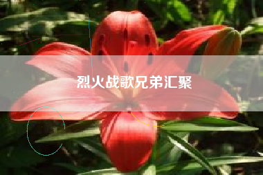 烈火战歌兄弟汇聚