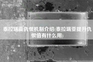 泰拉瑞亚仇恨机制介绍(泰拉瑞亚提升仇恨值有什么用)