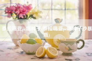 泰拉瑞亚pc端种子(泰拉瑞亚pc端种子沙暴瓶)