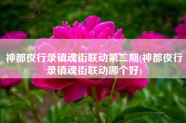 神都夜行录镇魂街联动第二期(神都夜行录镇魂街联动哪个好)