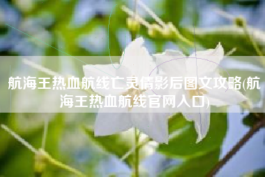 航海王热血航线亡灵倩影后图文攻略(航海王热血航线官网入口)