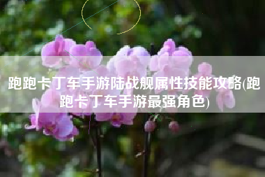 跑跑卡丁车手游陆战舰属性技能攻略(跑跑卡丁车手游最强角色)