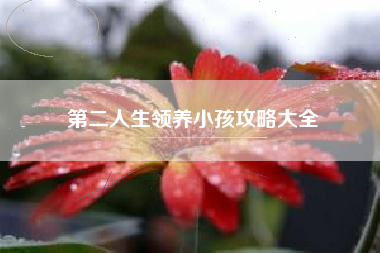 第二人生领养小孩攻略大全