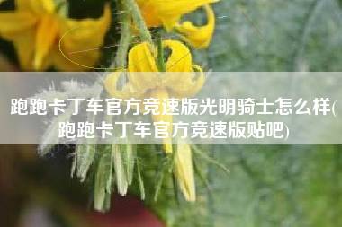 跑跑卡丁车官方竞速版光明骑士怎么样(跑跑卡丁车官方竞速版贴吧)