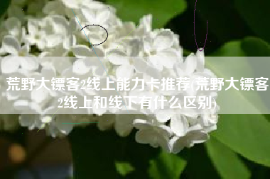 荒野大镖客2线上能力卡推荐(荒野大镖客2线上和线下有什么区别)