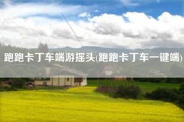 跑跑卡丁车端游摇头(跑跑卡丁车一键端)