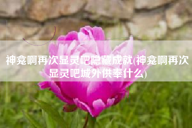 神龛啊再次显灵吧隐藏成就(神龛啊再次显灵吧城外供奉什么)