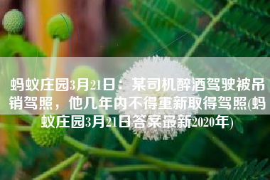 蚂蚁庄园3月21日：某司机醉酒驾驶被吊销驾照，他几年内不得重新取得驾照(蚂蚁庄园3月21日答案最新2020年)