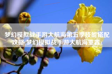 梦幻模拟战手游大航海第五季技能搭配攻略(梦幻模拟战手游大航海重置)